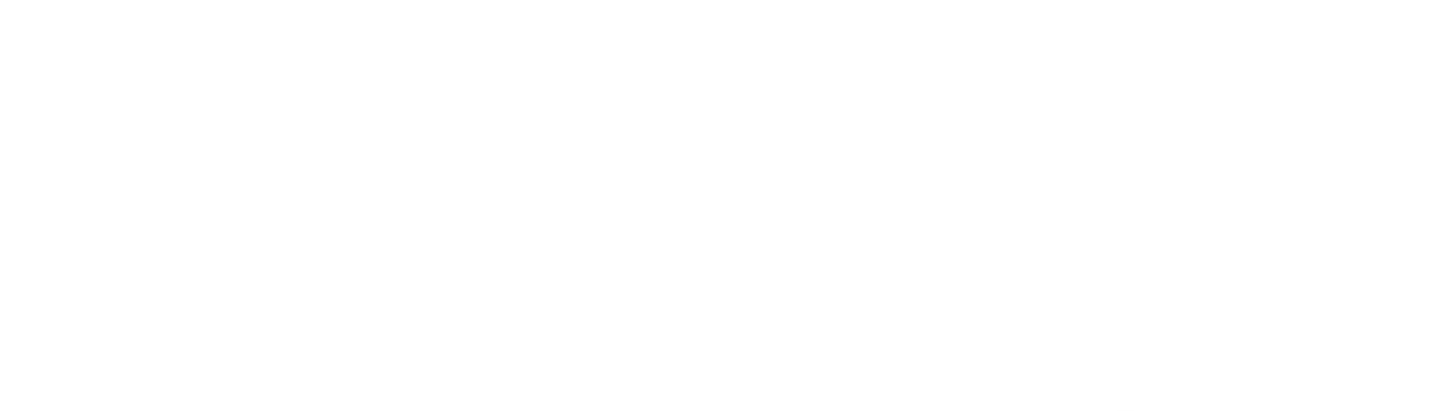 Logotipo Branco Controllab