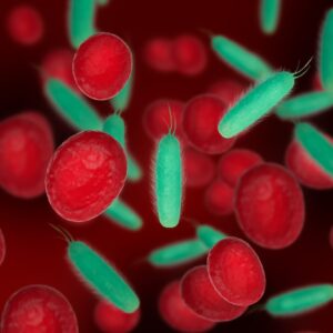 3d illustration red blood cells with bacterias bacterial cells blood scientific medical concept 2