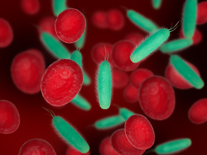 3d illustration red blood cells with bacterias bacterial cells blood scientific medical concept 2