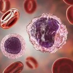 CD34