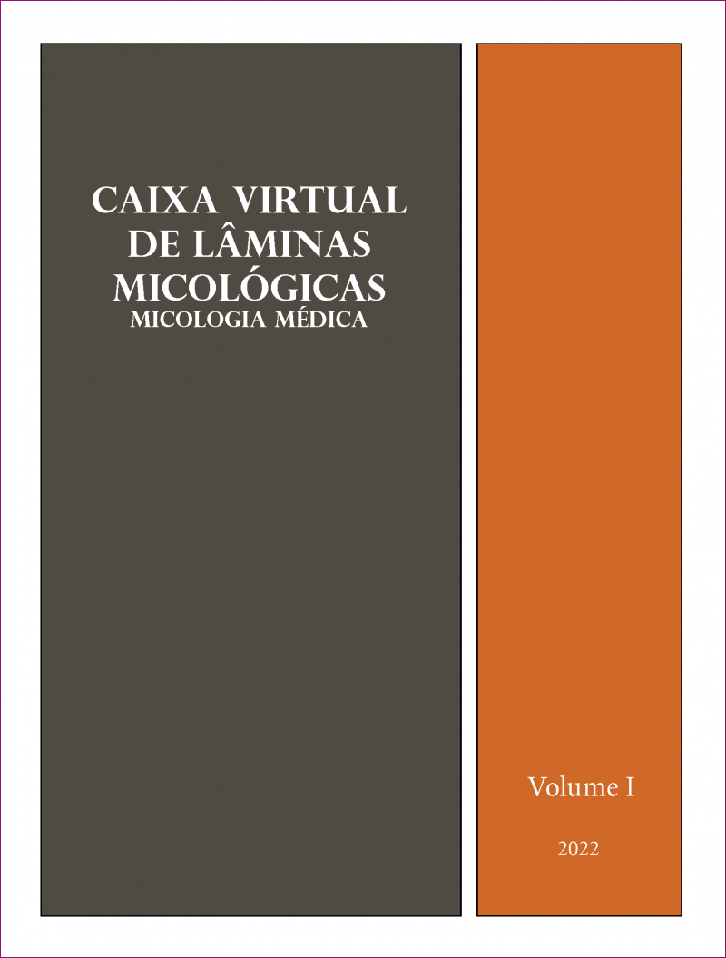Caixa-de-Laminas-escaneadas-Volume-I