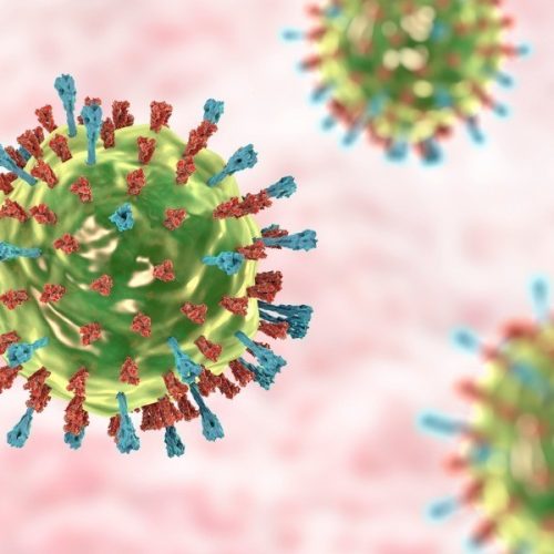 Vírus da caxumba. Ilustração 3D mostrando a estrutura do vírus da caxumba com picos de glicoproteína de superfície hemaglutinina-neuraminidase e proteína de fusão