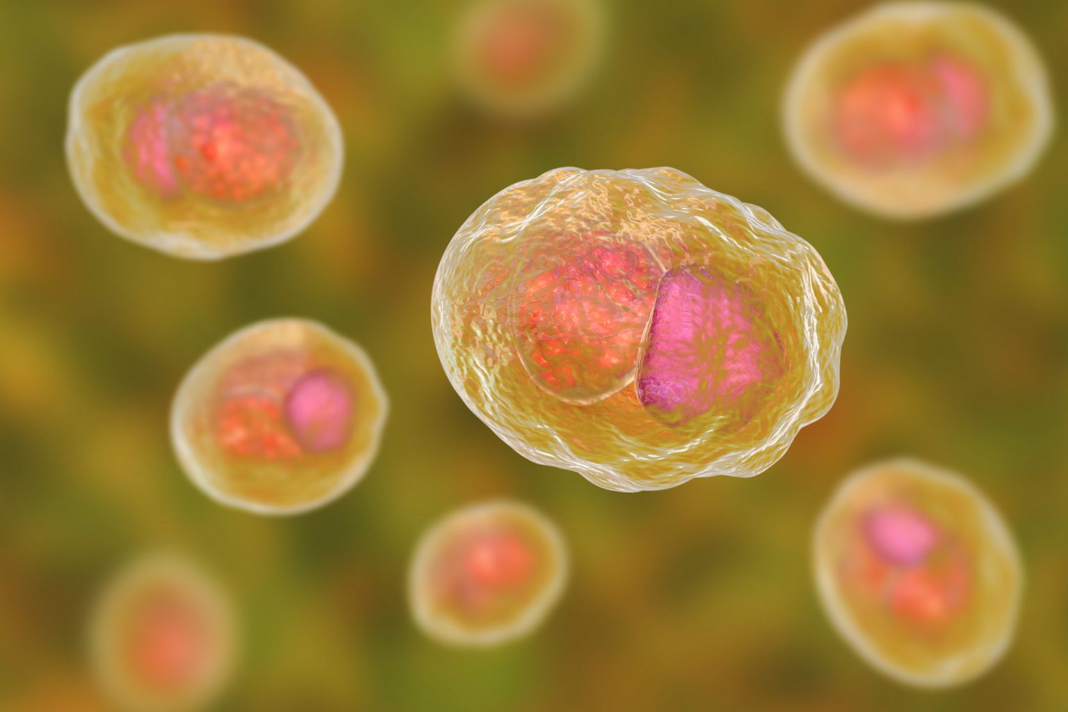 Chlamydia trachomatis Immunology Controllab