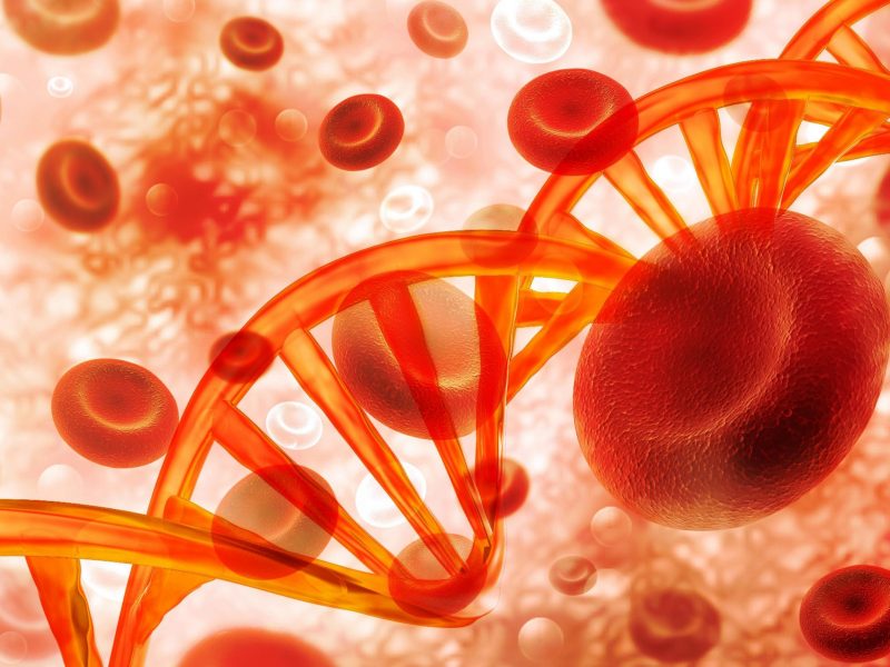 Célula de DNA de sangue na base científica