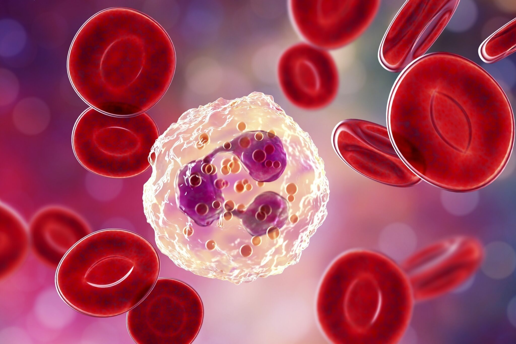 Hematología Equino – Controllab