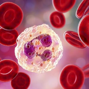 Hematologia Automação 2