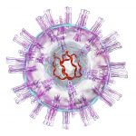 Estrutura do vírus herpes simplex
