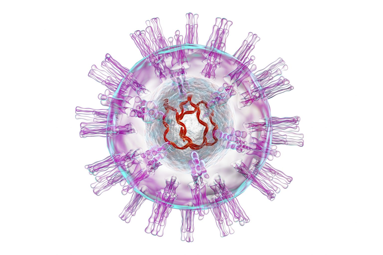 virus-del-herpes-biolog-a-molecular-controllab