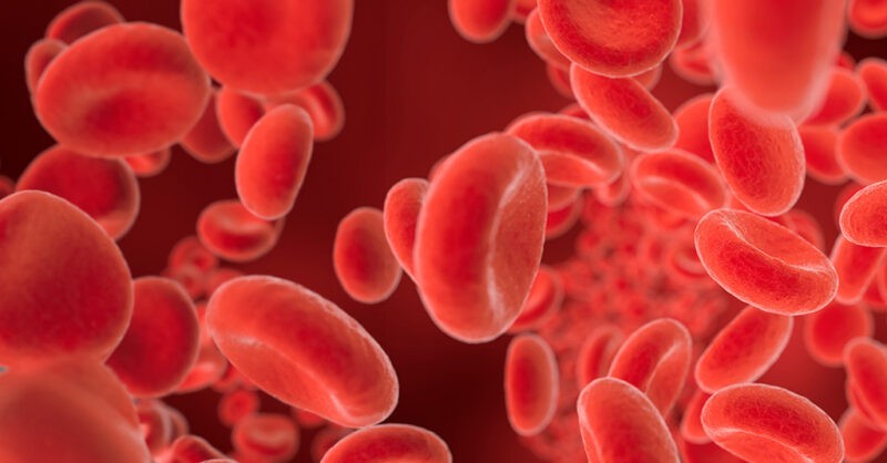 Avanços e práticas em hematologia: amplie seus conhecimentos com a Controllab