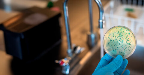 Buenas prácticas en microbiología clínica