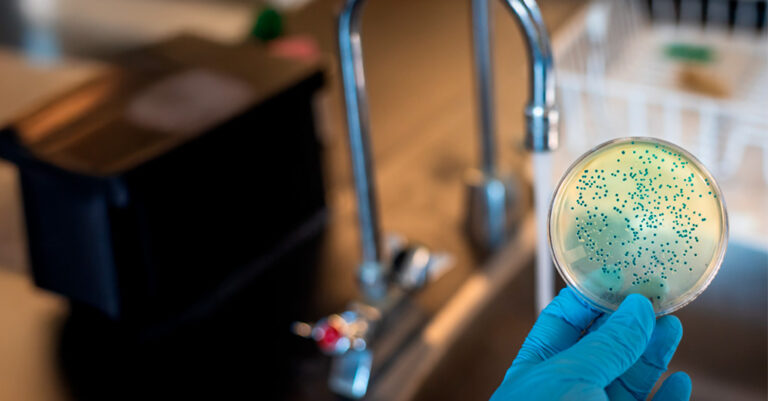 Buenas prácticas en microbiología clínica