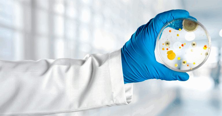 Uso de cepas de referência: da escolha à aplicação