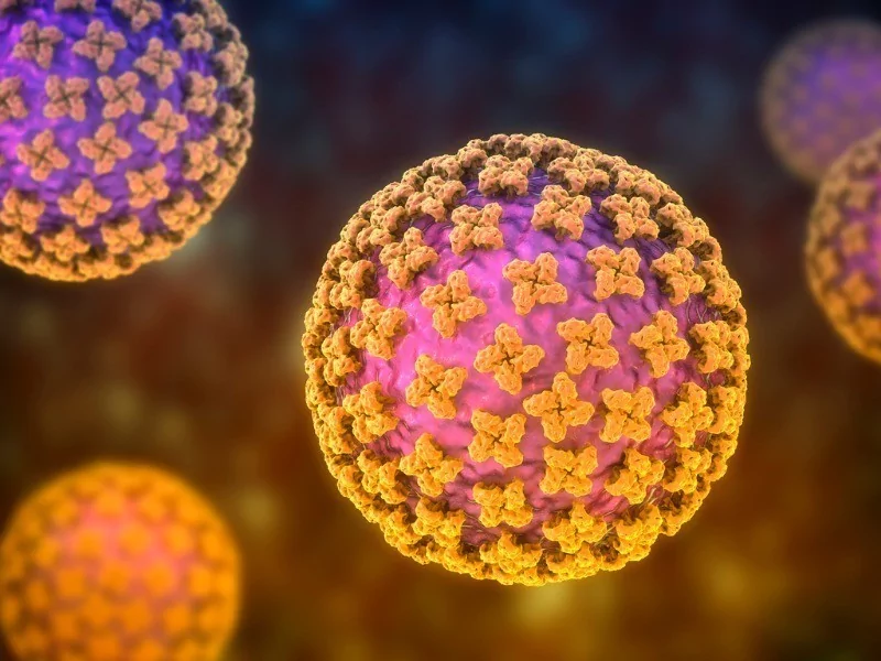 Hantavirus - Immunology