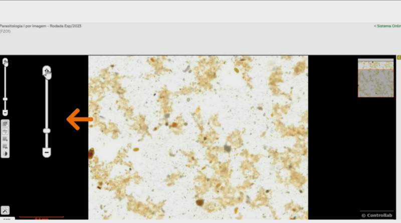 Instruções para análise de casos digitalizados na microscopia virtual