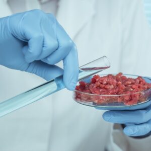 Produtos Carneos