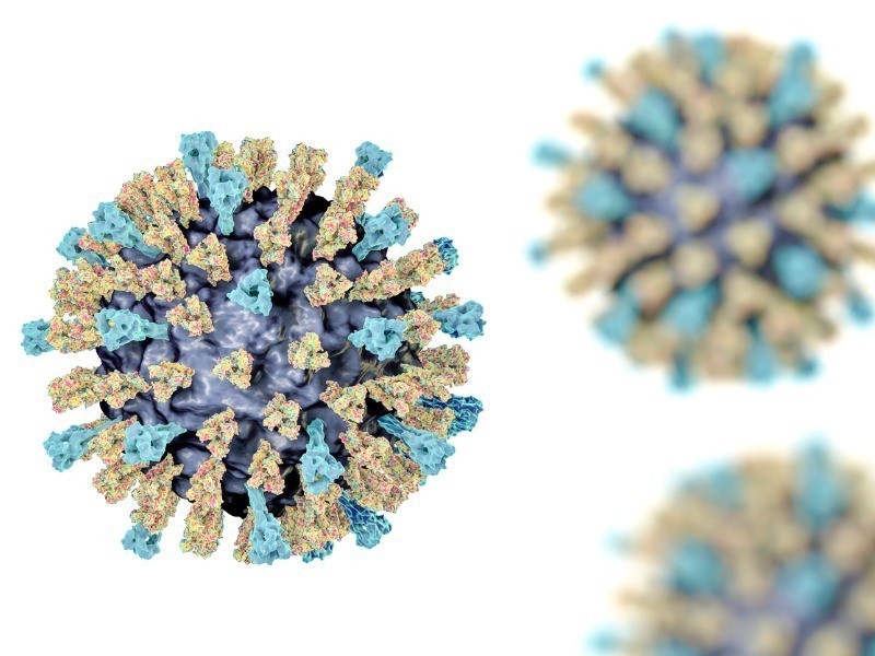 Vírus do sarampo. Ilustração 3D mostrando a estrutura do vírus do sarampo com picos de glicoproteína de superfície hemaglutinina-neuraminidase e proteína de fusão