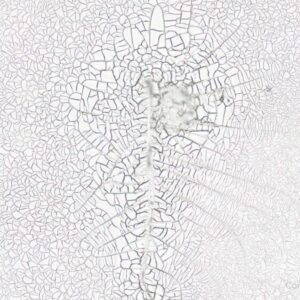 Ruptura Prematura das Membranas Teste de Fern