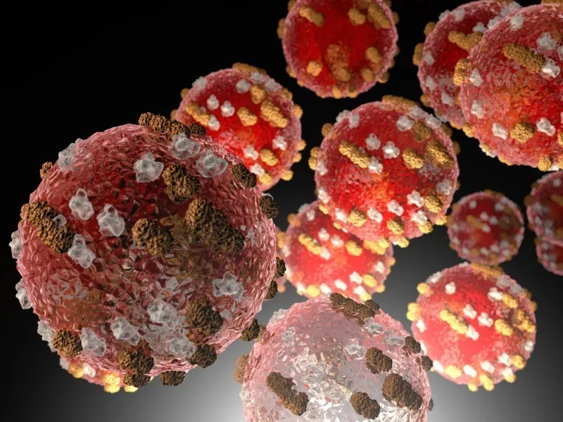 Sarampión - Inmunología