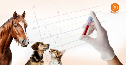 How quality control becomes a competitive differentiator for veterinary laboratories