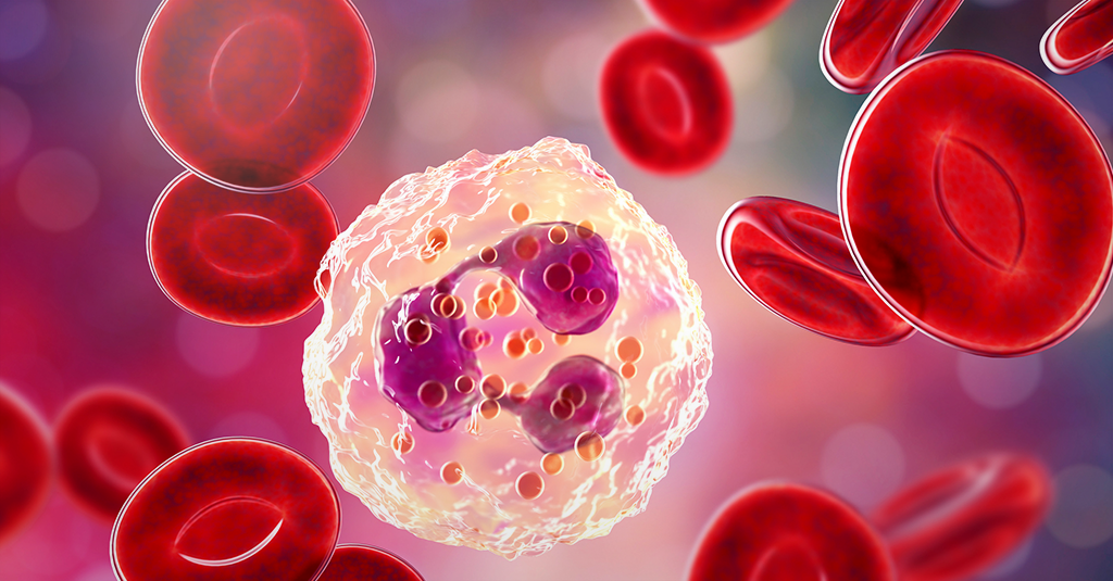 WP 1024 535 Eritrograma e anemias