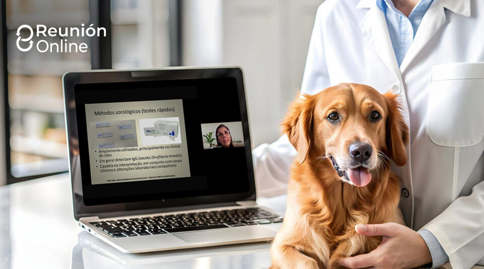 Reunión Online Investigación diagnóstica de las hemoparasitosis en animales
