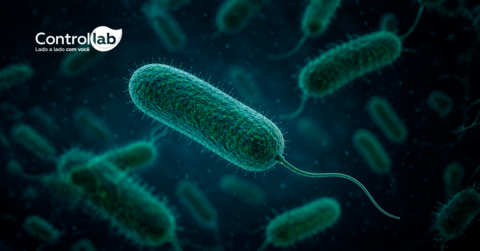 Pseudomonas aeruginosa