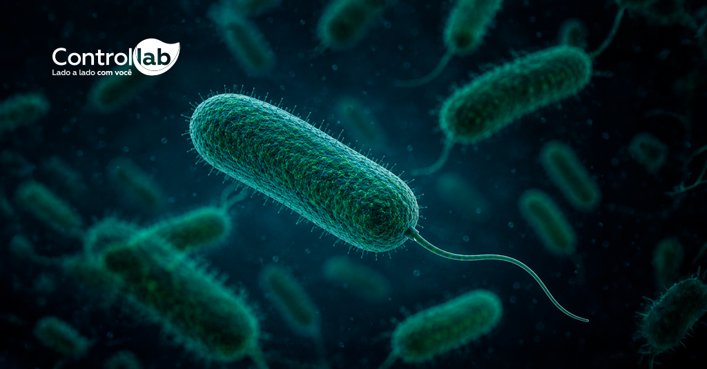 Pseudomonas aeruginosa