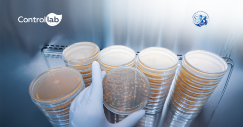 Participação da Controllab em curso sobre coleções de culturas microbianas e controle da qualidade.