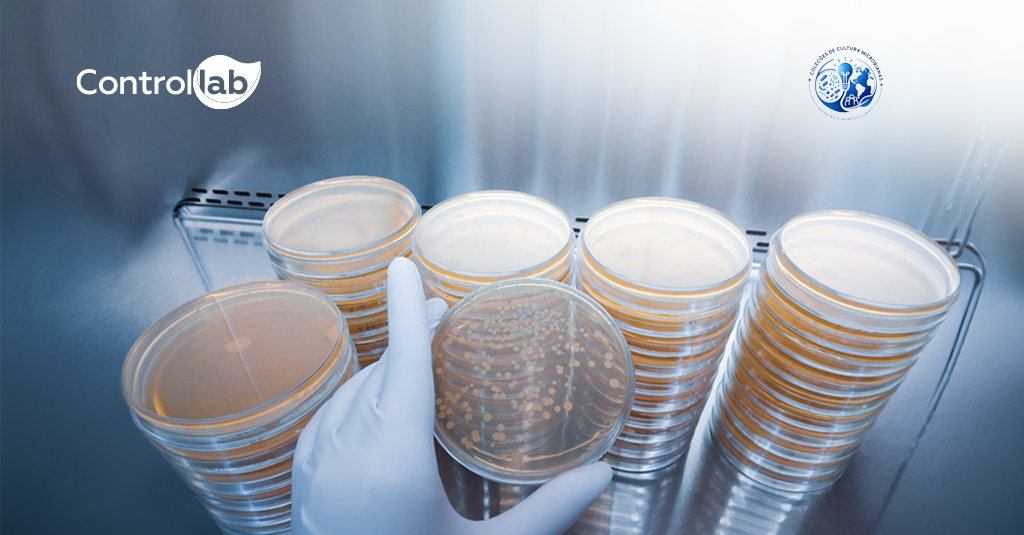 Participação da Controllab em curso sobre coleções de culturas microbianas e controle da qualidade.