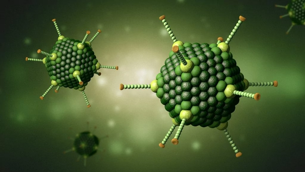 Adenovirus