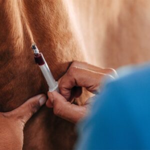 anemia infecciosa equina controllab