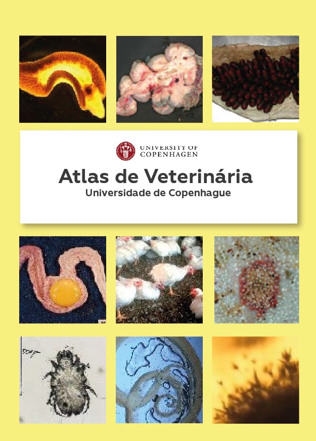 Atlas de Veterinária