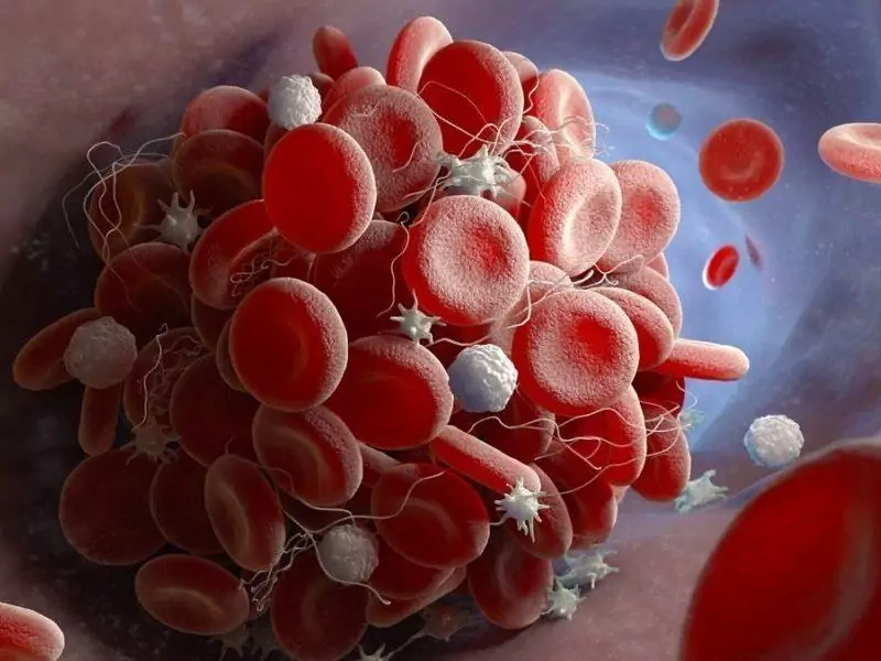 POCT Coagulación II