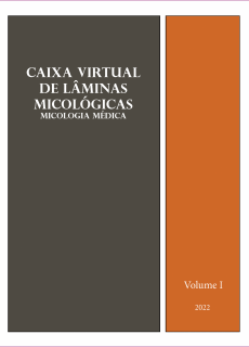 Caixa-de-Laminas-escaneadas-Volume-I