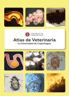 atlas de veterinária-es