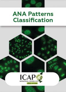 ANA Patterns Classification