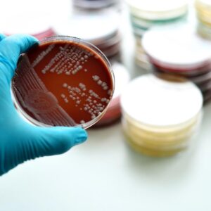 iStock Neisseria Gonorrhoeae 612503702