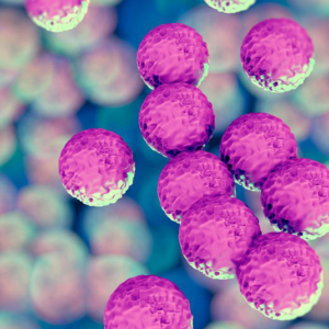 legionella
