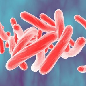 micobacteriologia iStock 623063998
