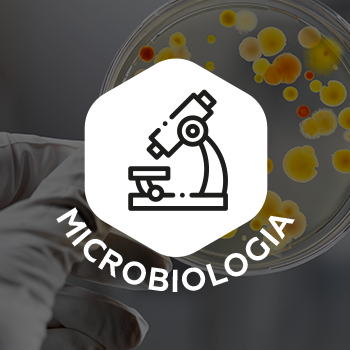 Microbiológico