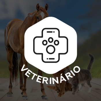Veterinária